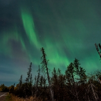 Autumn Aurora, Swamp Road View