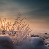 Brighton Beach Sunrise